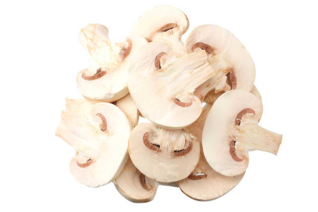Ciuperci